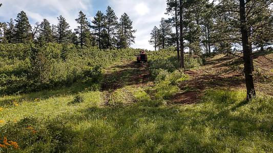 Land Clearing Work by Chaparral Construction