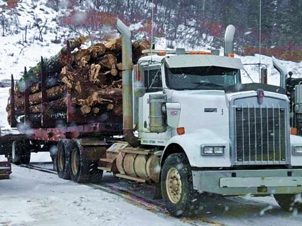 Chaparral Construction Logging Trailer