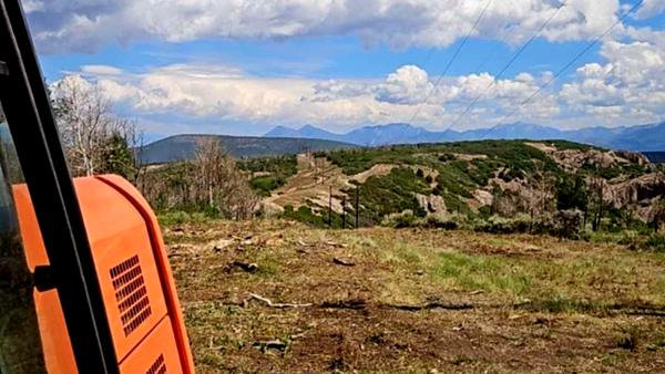 Mastication to Protect High Voltage on South Rim Fire