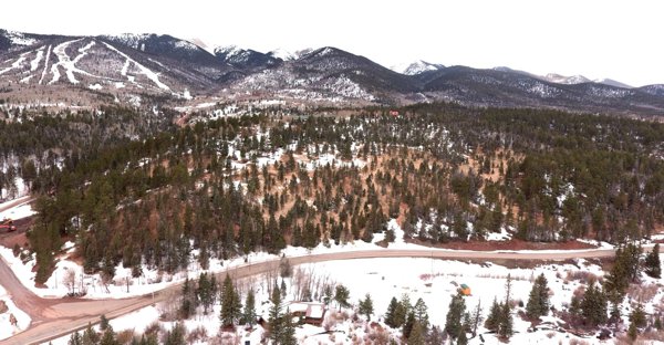 Fire Mitigation and Forest Health Work by Chaparral Construction