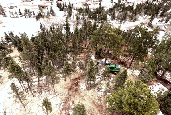 Fire Mitigation and Forest Health Work by Chaparral Construction