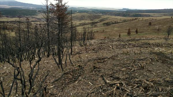 Wildfire Rehabilitation by Chaparral Construction