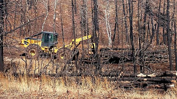 Wildfire Rehabilitation by Chaparral Construction