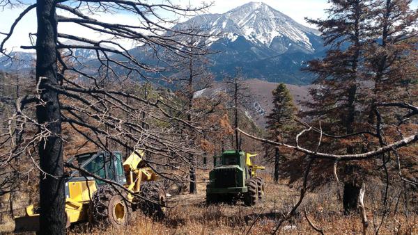 Wildfire Rehabilitation by Chaparral Construction