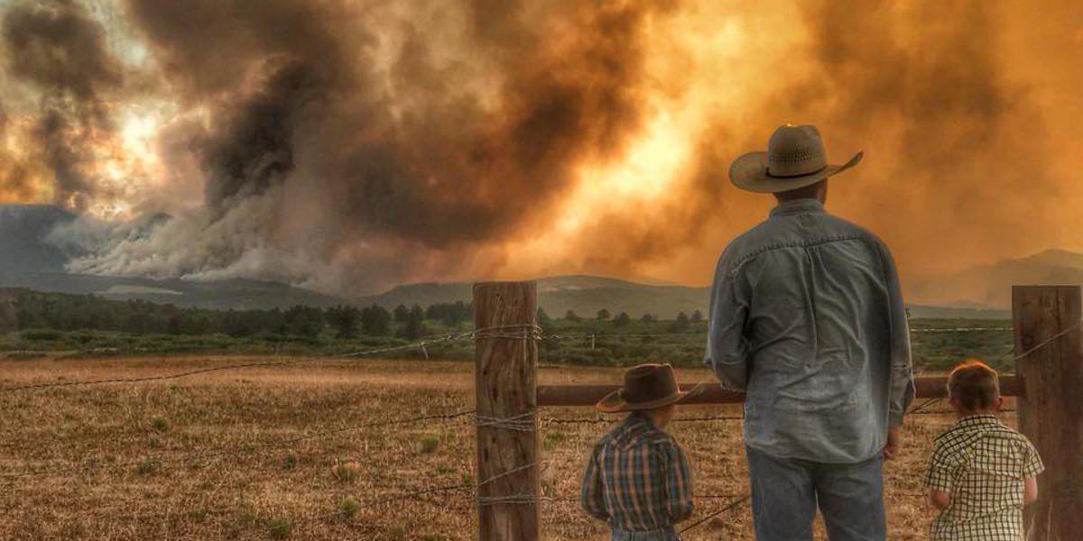 Chaparral Construction Services