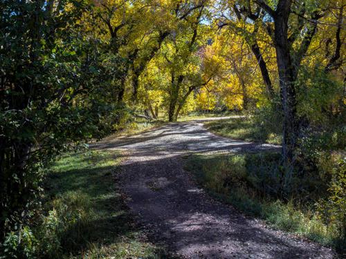 Road Construction & Maintenance Services by Chaparral Construction in La Veta and Huerfano County