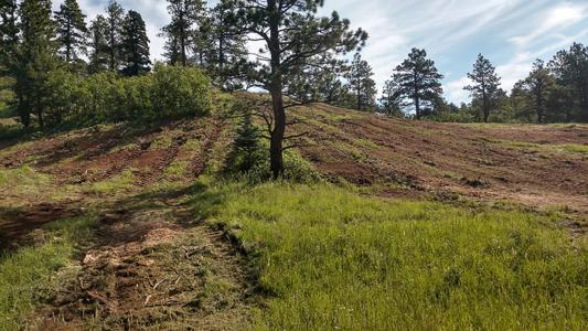 Land Clearing Work by Chaparral Construction