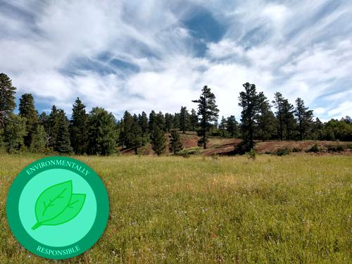 Reclamation Services by Chaparral Construction in La Veta and Huerfano County