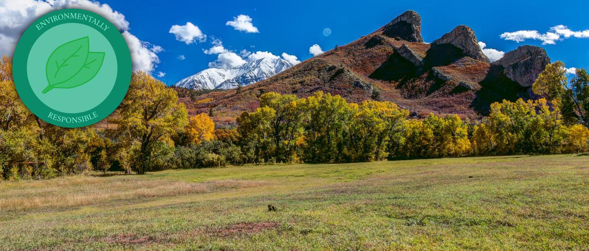 Chaparral Construction Services