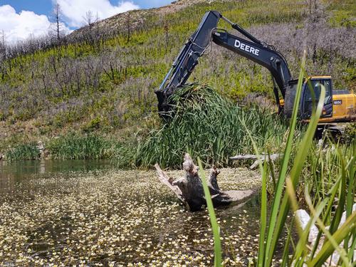 River Restoration by Chaparral Construction in La Veta and Huerfano County